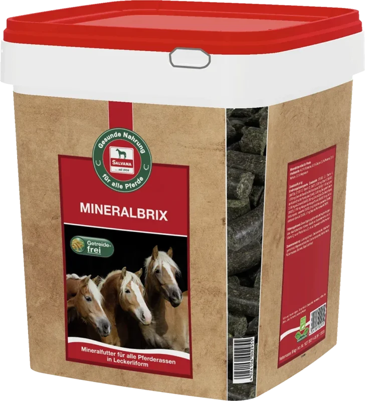 Salvana Mineralbrix 8 kg Eimer MHD 09/25