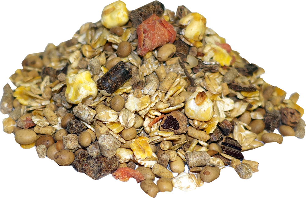 Kompakt Müsli Zucht lose 1280x1280