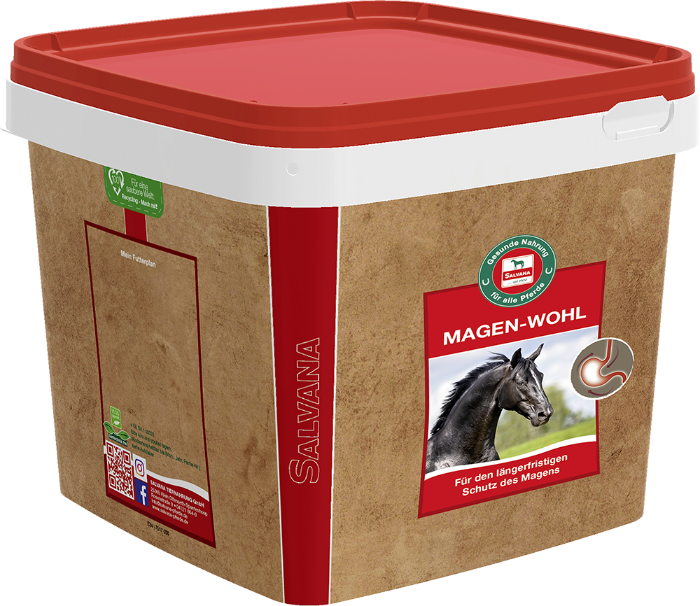 Salvana Magen-Wohl 3kg